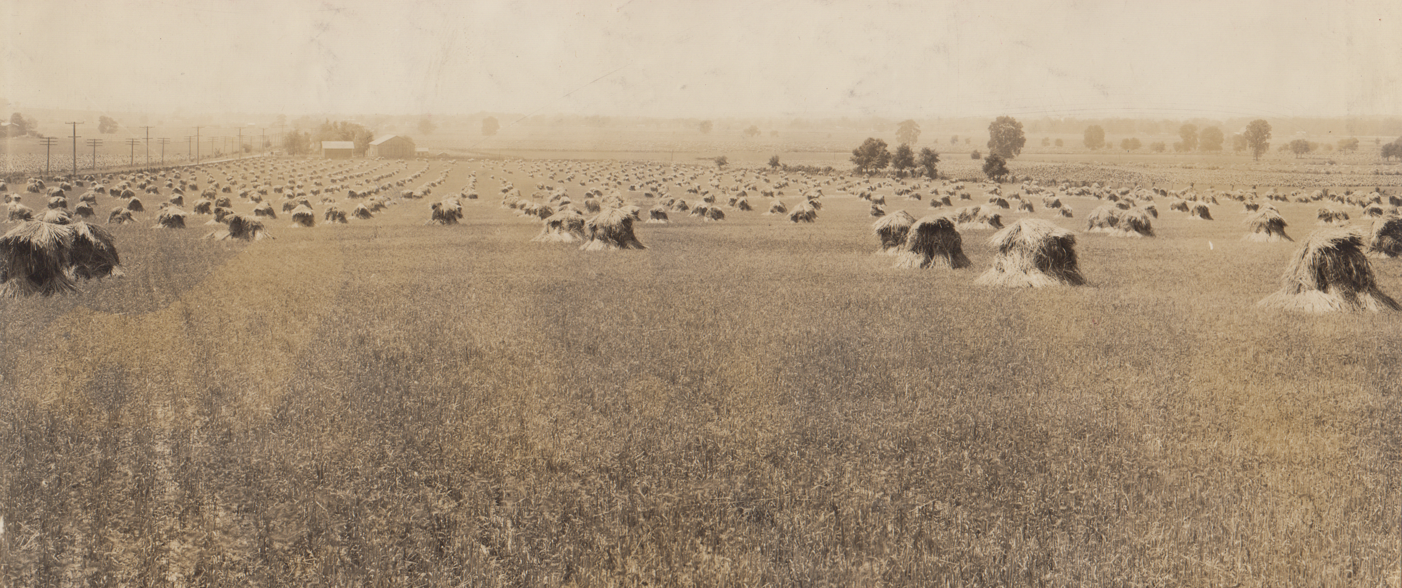 Civil War General McCook's Farm, 1910