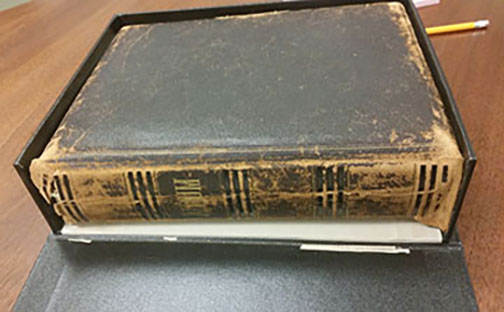 Wright Family Album in clamshell box: Leather spine is broken and very fragile with losses.